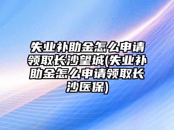 失業補助金怎么申請領取長沙望城(失業補助金怎么申請領取長沙醫保)