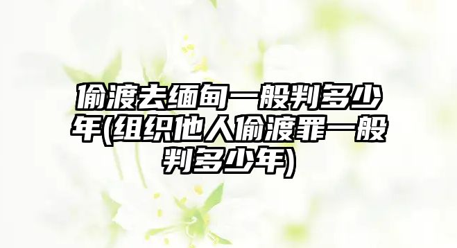 偷渡去緬甸一般判多少年(組織他人偷渡罪一般判多少年)