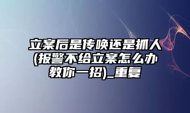 立案后是傳喚還是抓人(報警不給立案怎么辦教你一招)_重復