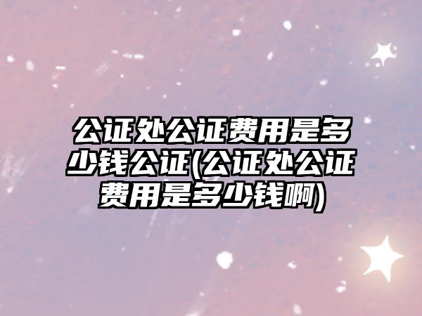 公證處公證費用是多少錢公證(公證處公證費用是多少錢啊)