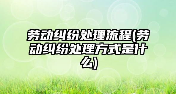 勞動糾紛處理流程(勞動糾紛處理方式是什么)