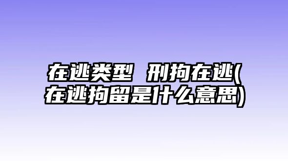 在逃類型 刑拘在逃(在逃拘留是什么意思)