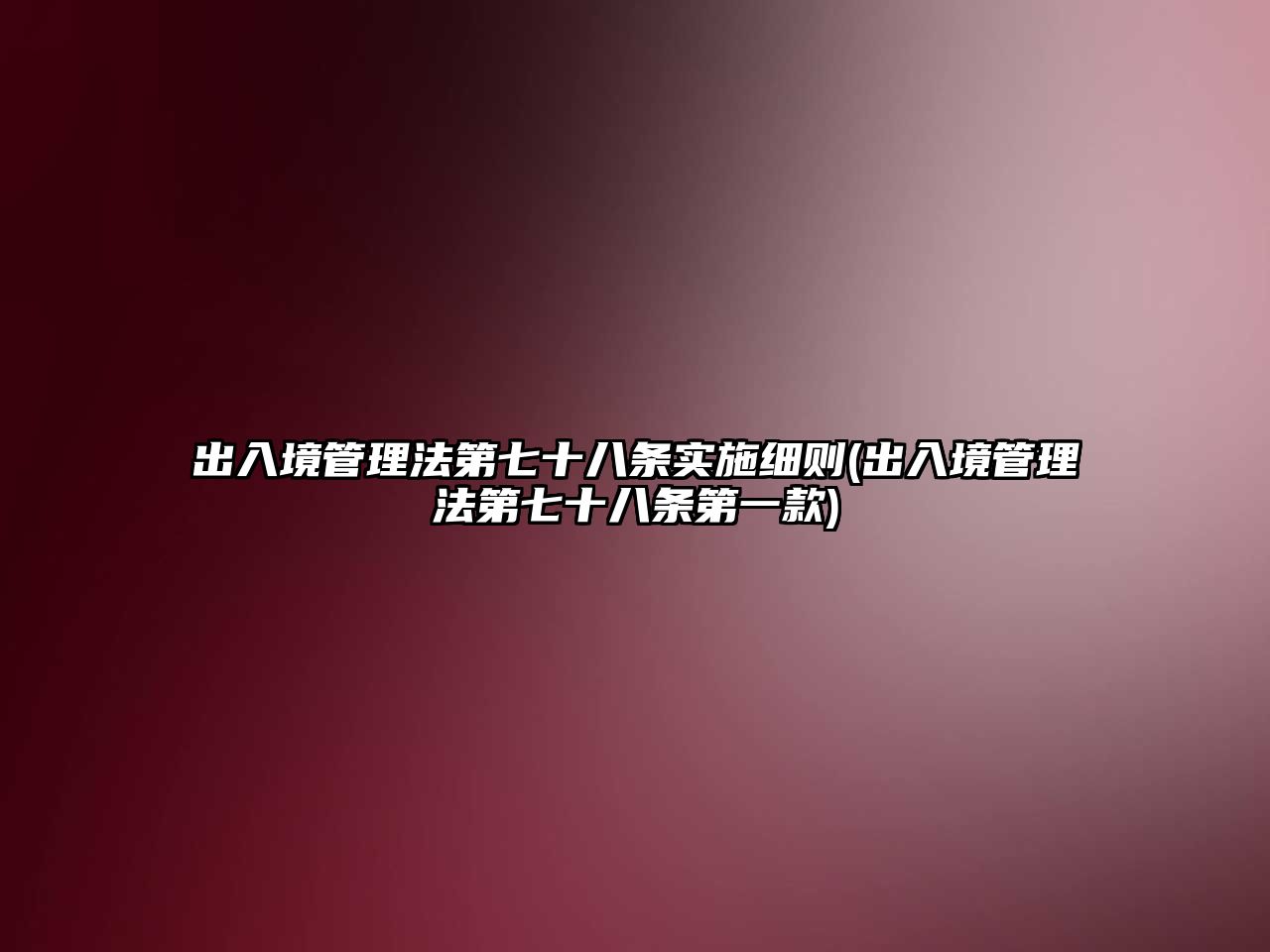 出入境管理法第七十八條實施細則(出入境管理法第七十八條第一款)