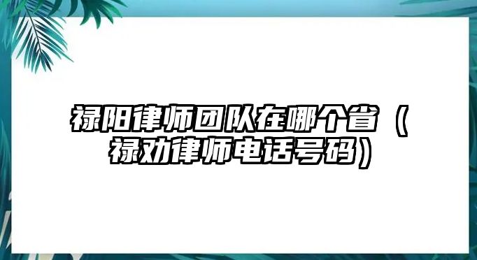 祿陽律師團隊在哪個省（祿勸律師電話號碼）