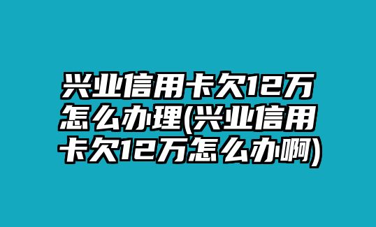 興業信用卡欠12萬怎么辦理(興業信用卡欠12萬怎么辦啊)