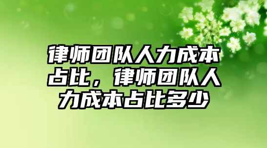 律師團(tuán)隊(duì)人力成本占比，律師團(tuán)隊(duì)人力成本占比多少