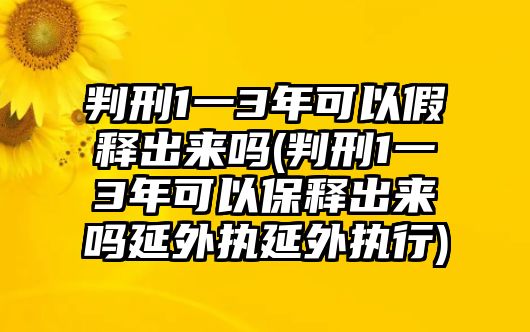 判刑1一3年可以假釋出來嗎(判刑1一3年可以保釋出來嗎延外執延外執行)