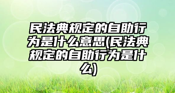 民法典規(guī)定的自助行為是什么意思(民法典規(guī)定的自助行為是什么)