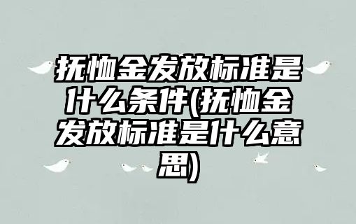 撫恤金發放標準是什么條件(撫恤金發放標準是什么意思)