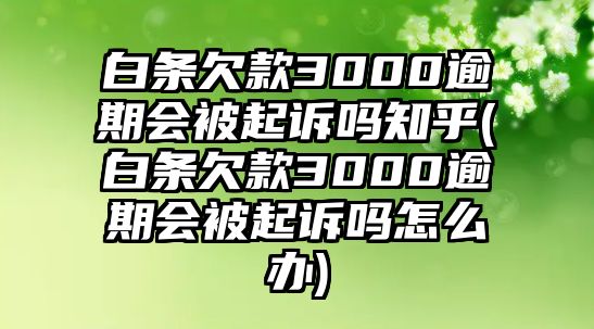 白條欠款3000逾期會被起訴嗎知乎(白條欠款3000逾期會被起訴嗎怎么辦)