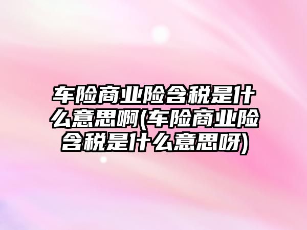 車險商業險含稅是什么意思啊(車險商業險含稅是什么意思呀)