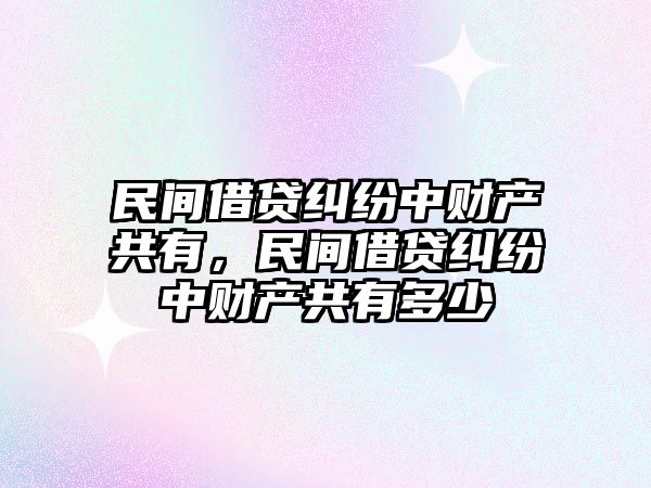 民間借貸糾紛中財產共有，民間借貸糾紛中財產共有多少