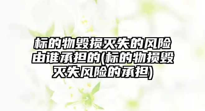 標的物毀損滅失的風險由誰承擔的(標的物損毀滅失風險的承擔)