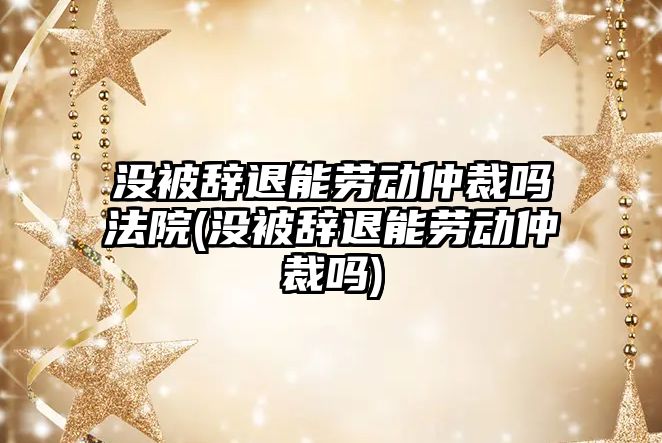 沒被辭退能勞動仲裁嗎法院(沒被辭退能勞動仲裁嗎)