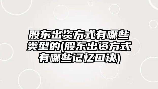 股東出資方式有哪些類型的(股東出資方式有哪些記憶口訣)