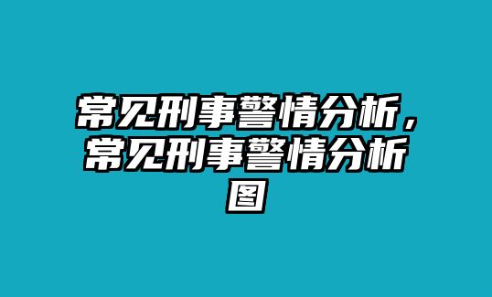 常見刑事警情分析，常見刑事警情分析圖