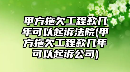 甲方拖欠工程款幾年可以起訴法院(甲方拖欠工程款幾年可以起訴公司)