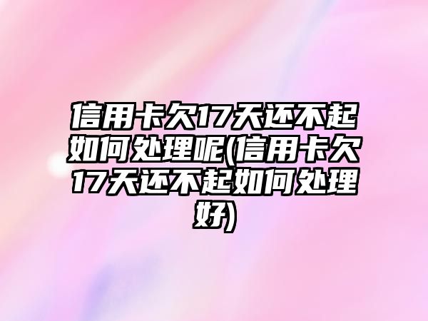 信用卡欠17天還不起如何處理呢(信用卡欠17天還不起如何處理好)