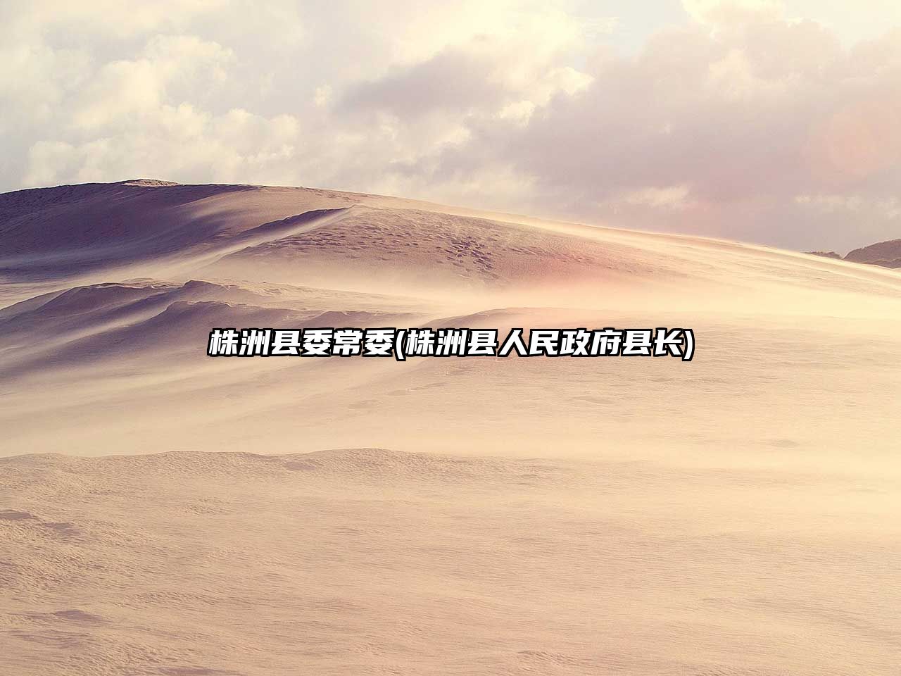 株洲縣委常委(株洲縣人民政府縣長(zhǎng))