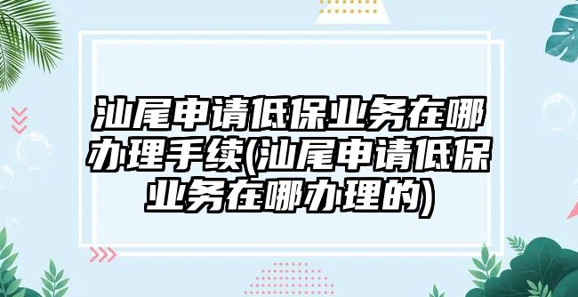 汕尾申請低保業務在哪辦理手續(汕尾申請低保業務在哪辦理的)