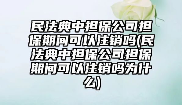 民法典中擔保公司擔保期間可以注銷嗎(民法典中擔保公司擔保期間可以注銷嗎為什么)