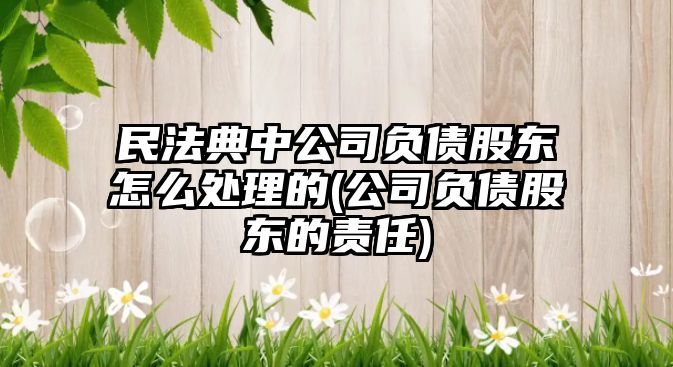 民法典中公司負(fù)債股東怎么處理的(公司負(fù)債股東的責(zé)任)