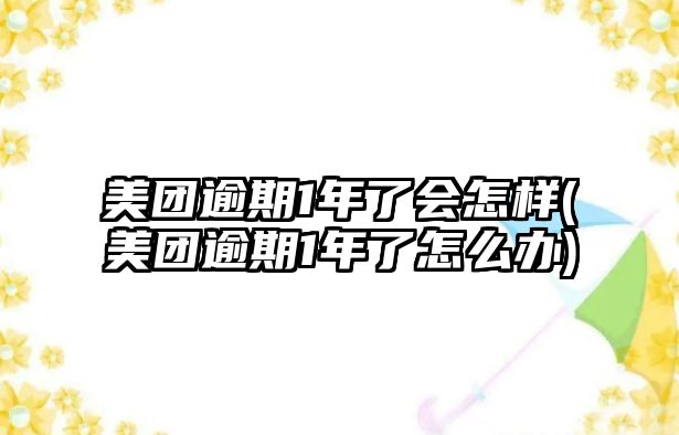 美團逾期1年了會怎樣(美團逾期1年了怎么辦)