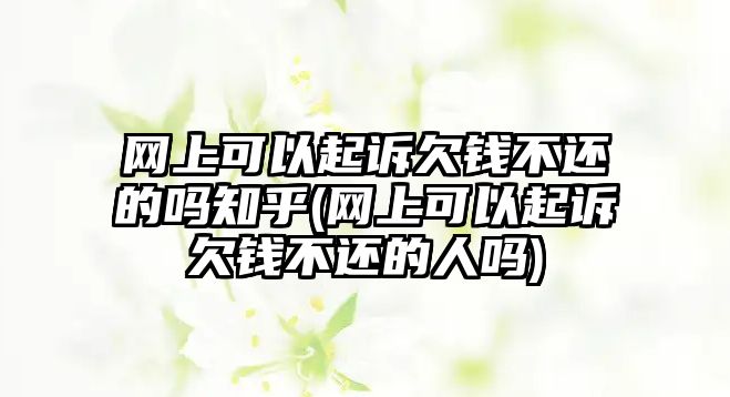 網(wǎng)上可以起訴欠錢(qián)不還的嗎知乎(網(wǎng)上可以起訴欠錢(qián)不還的人嗎)