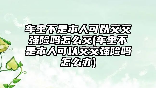 車主不是本人可以交交強險嗎怎么交(車主不是本人可以交交強險嗎怎么辦)