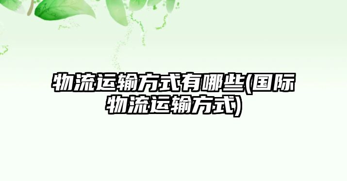 物流運(yùn)輸方式有哪些(國際物流運(yùn)輸方式)