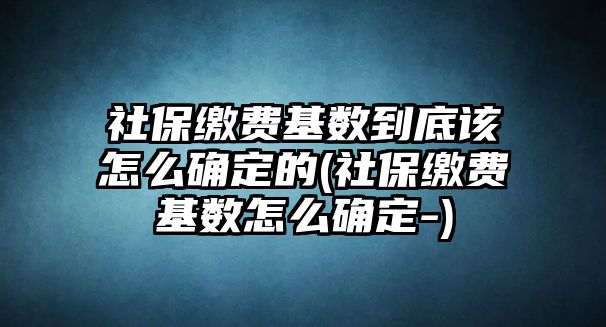 社保繳費基數到底該怎么確定的(社保繳費基數怎么確定-)