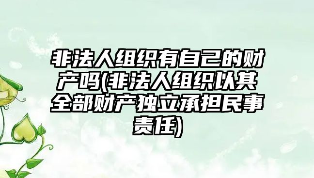 非法人組織有自己的財產嗎(非法人組織以其全部財產獨立承擔民事責任)