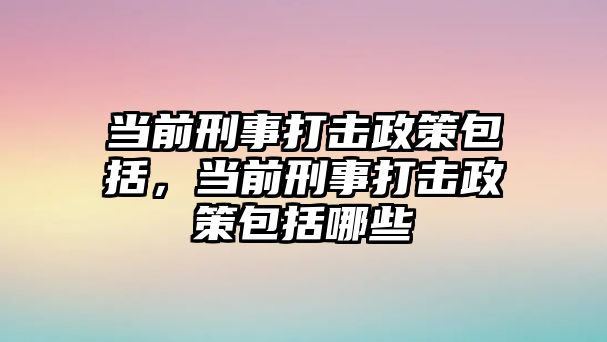 當前刑事打擊政策包括，當前刑事打擊政策包括哪些