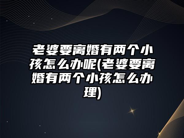 老婆要離婚有兩個小孩怎么辦呢(老婆要離婚有兩個小孩怎么辦理)