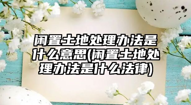 閑置土地處理辦法是什么意思(閑置土地處理辦法是什么法律)