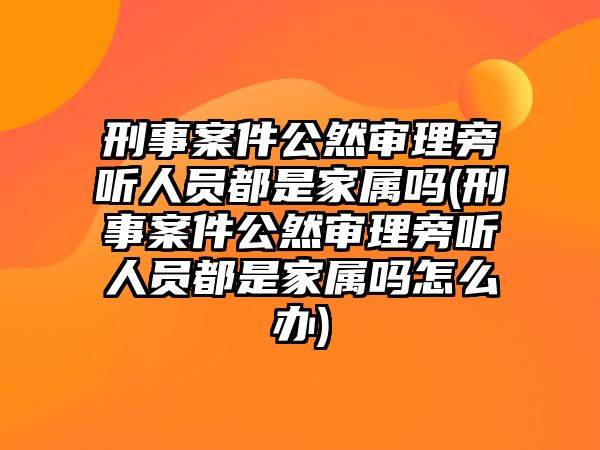 刑事案件公然審理旁聽人員都是家屬嗎(刑事案件公然審理旁聽人員都是家屬嗎怎么辦)