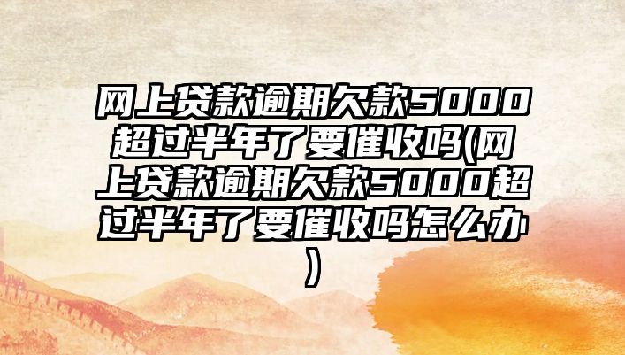 網上貸款逾期欠款5000超過半年了要催收嗎(網上貸款逾期欠款5000超過半年了要催收嗎怎么辦)