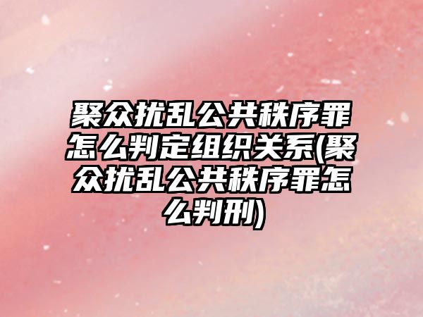 聚眾擾亂公共秩序罪怎么判定組織關(guān)系(聚眾擾亂公共秩序罪怎么判刑)