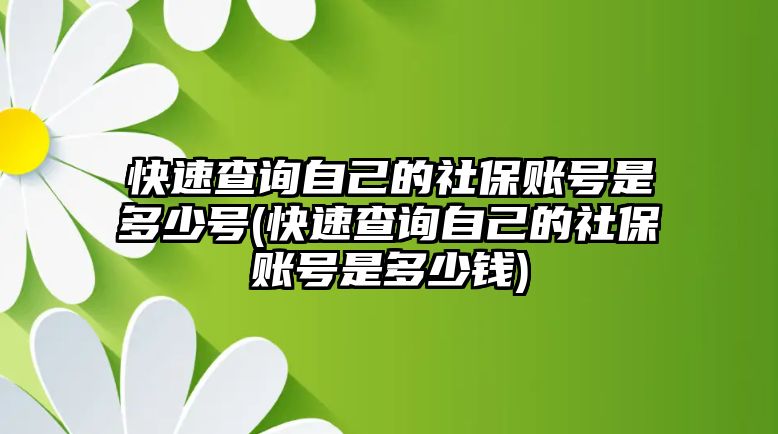 快速查詢自己的社保賬號是多少號(快速查詢自己的社保賬號是多少錢)