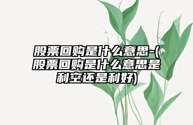 股票回購是什么意思-(股票回購是什么意思是利空還是利好)