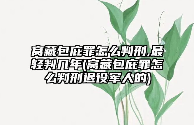 窩藏包庇罪怎么判刑,最輕判幾年(窩藏包庇罪怎么判刑退役軍人的)