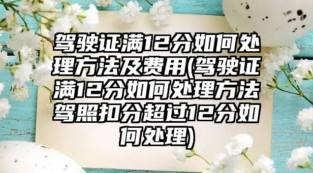 駕駛證滿12分如何處理方法及費(fèi)用(駕駛證滿12分如何處理方法駕照扣分超過12分如何處理)