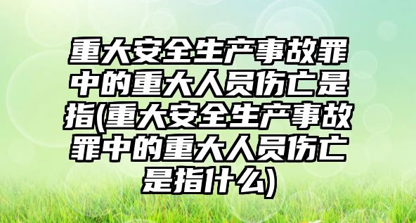 重大安全生產事故罪中的重大人員傷亡是指(重大安全生產事故罪中的重大人員傷亡是指什么)