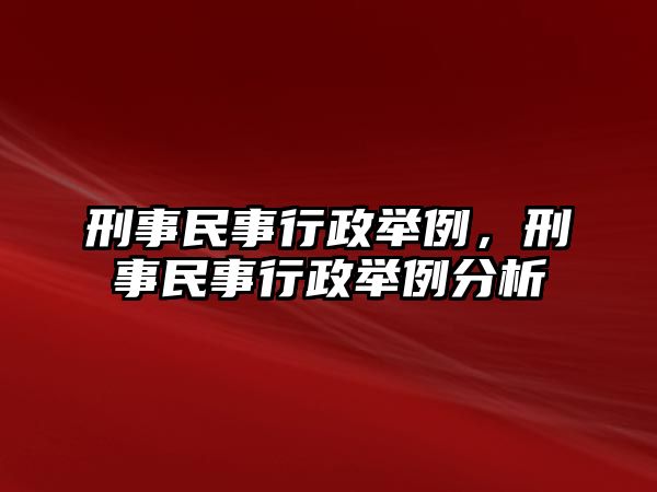 刑事民事行政舉例，刑事民事行政舉例分析