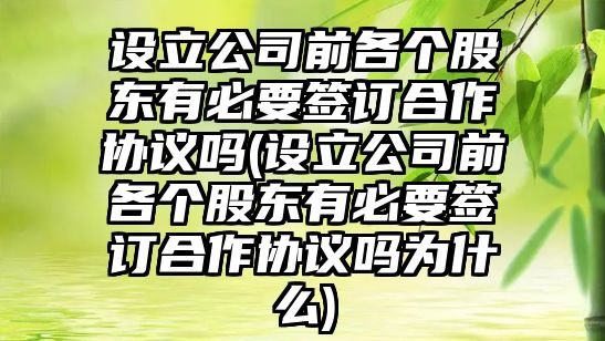 設(shè)立公司前各個(gè)股東有必要簽訂合作協(xié)議嗎(設(shè)立公司前各個(gè)股東有必要簽訂合作協(xié)議嗎為什么)