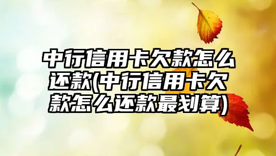 中行信用卡欠款怎么還款(中行信用卡欠款怎么還款最劃算)