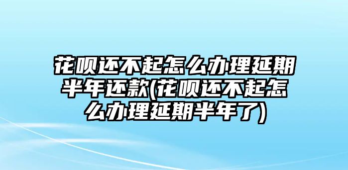 花唄還不起怎么辦理延期半年還款(花唄還不起怎么辦理延期半年了)