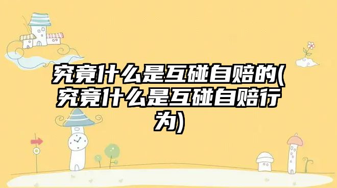 究竟什么是互碰自賠的(究竟什么是互碰自賠行為)