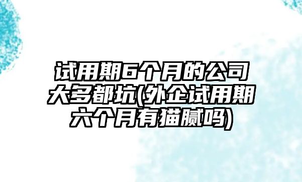 試用期6個(gè)月的公司大多都坑(外企試用期六個(gè)月有貓膩嗎)