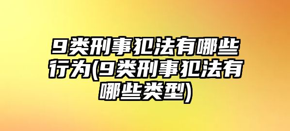 9類刑事犯法有哪些行為(9類刑事犯法有哪些類型)